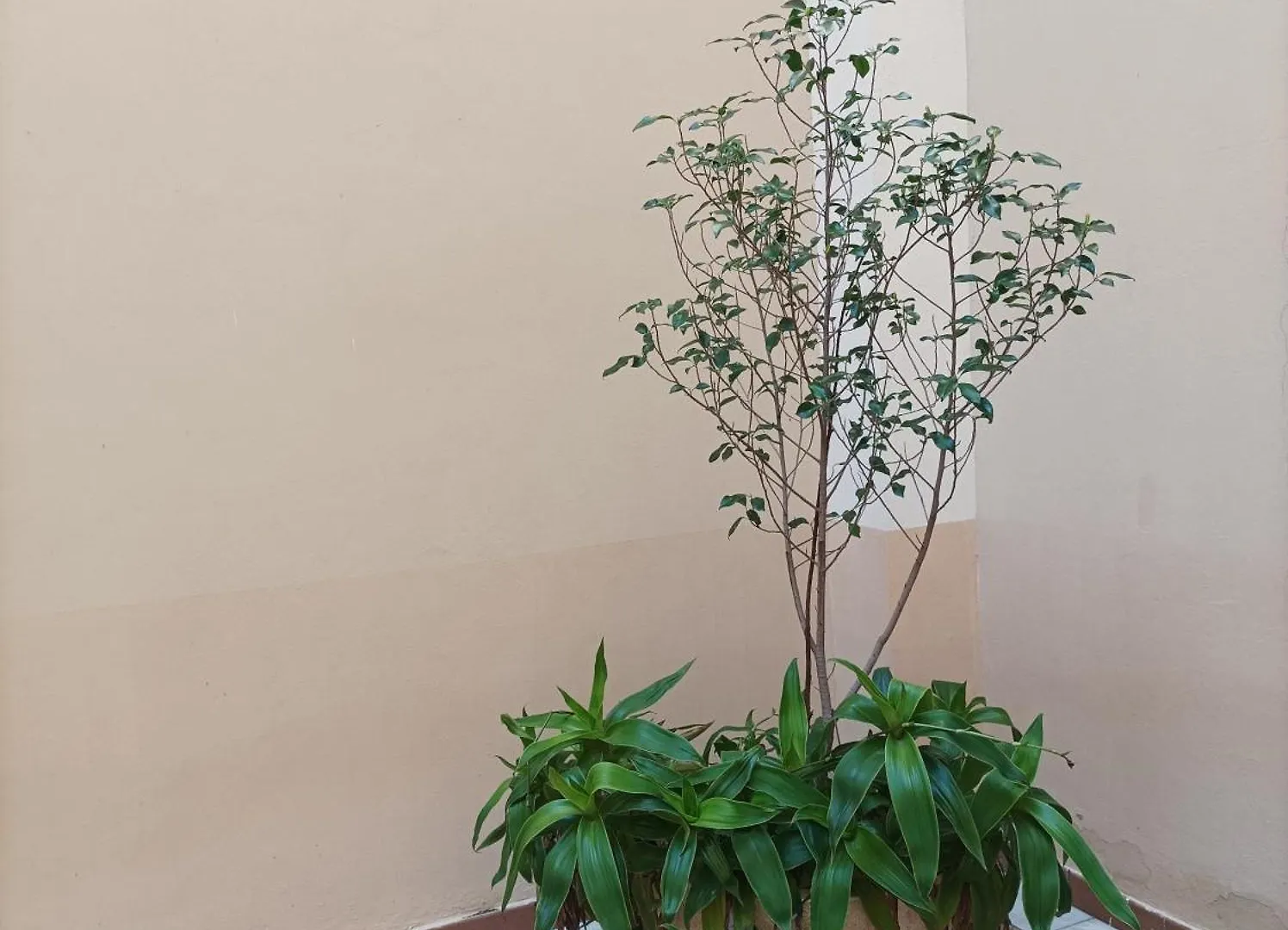 Apartamento De Lux Sevilla Este Apartmán